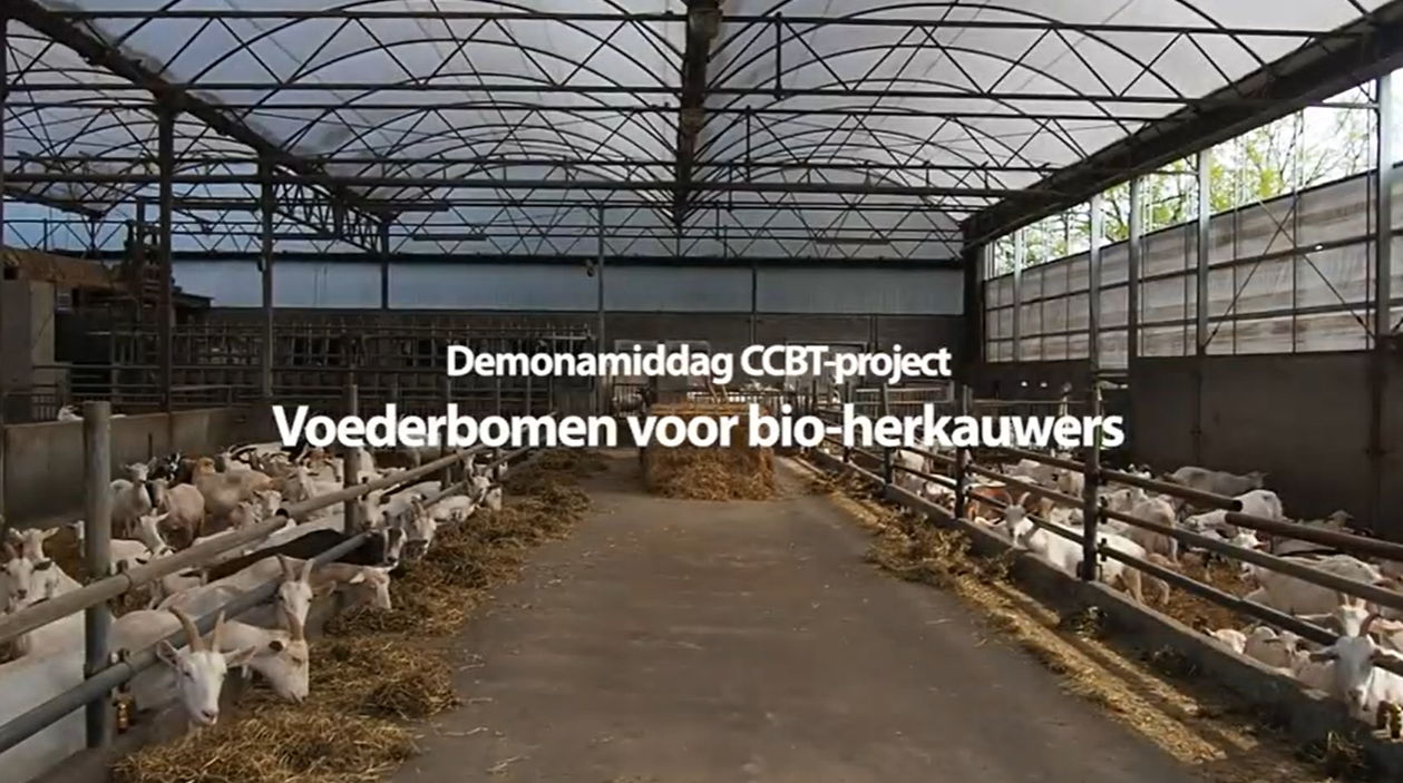 Organic Eprints Fodder trees for organic dairy goats